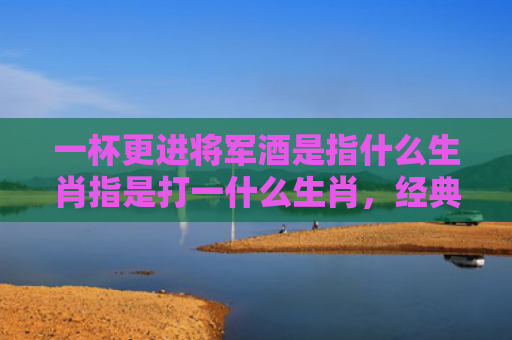 一杯更进将军酒是指什么生肖指是打一什么生肖，经典解答星座知识