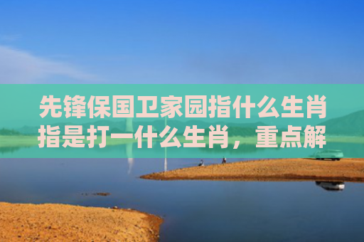 先锋保国卫家园指什么生肖指是打一什么生肖，重点解答星座释义