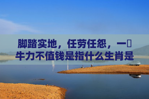 脚踏实地，任劳任怨，一舖牛力不值钱是指什么生肖是指什么生肖，经典解答星座知识