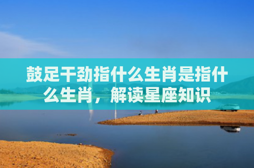 鼓足干劲指什么生肖是指什么生肖，解读星座知识