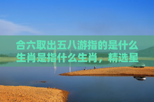 合六取出五八游指的是什么生肖是指什么生肖，精选星座解释