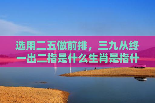 选用二五做前排，三九从终一出二指是什么生肖是指什么生肖，重点解答星座释义