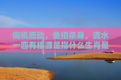 伺机而动，免招杀身，流水一四有根源是指什么生肖是指什么生肖，星座解读落实