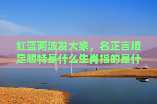 红蓝两波发大家，名正言顺足顺特是什么生肖指的是什么生肖，重点解答星座释义