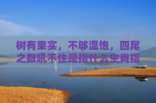 树有果实，不够温饱，四尾之数吼不住是指什么生肖指是打一什么生肖，经典解答星座知识