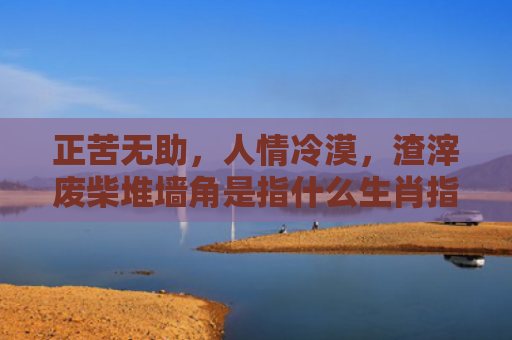 正苦无助，人情冷漠，渣滓废柴堆墙角是指什么生肖指的是什么生肖，经典解答星座知识