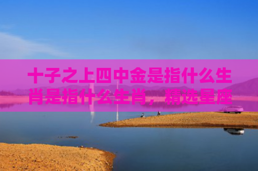 十子之上四中金是指什么生肖是指什么生肖，精选星座解释