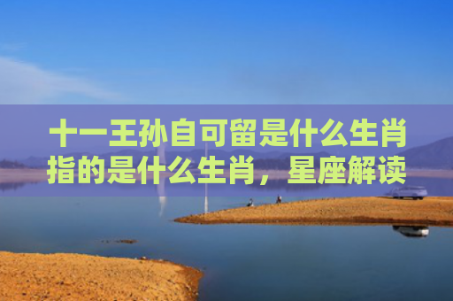 十一王孙自可留是什么生肖指的是什么生肖，星座解读落实