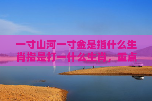 一寸山河一寸金是指什么生肖指是打一什么生肖，重点解答星座释义