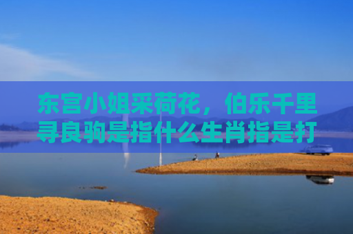 东宫小姐采荷花，伯乐千里寻良驹是指什么生肖指是打一什么生肖，星座解读落实