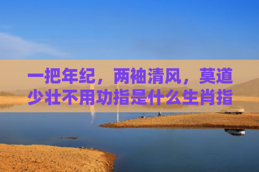 一把年纪，两袖清风，莫道少壮不用功指是什么生肖指的是什么生肖，重点解答星座释义