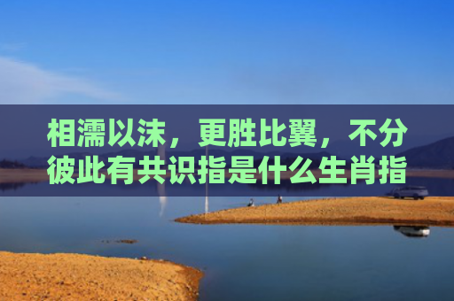相濡以沫，更胜比翼，不分彼此有共识指是什么生肖指的是什么生肖，星座解读落实