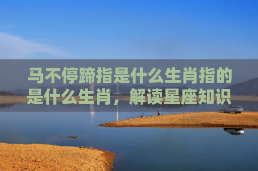 马不停蹄指是什么生肖指的是什么生肖，解读星座知识