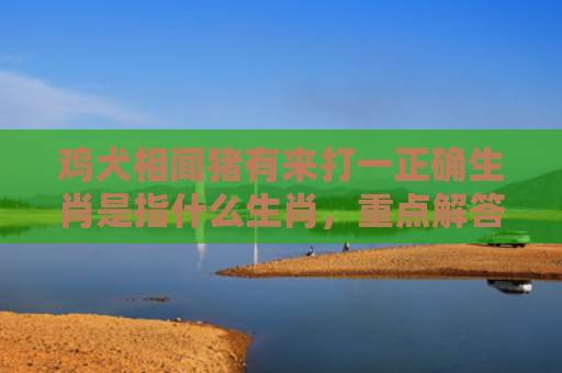 鸡犬相闻猪有来打一正确生肖是指什么生肖，重点解答星座释义