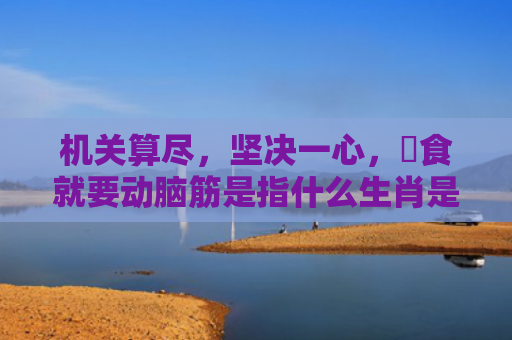 机关算尽，坚决一心，搵食就要动脑筋是指什么生肖是指什么生肖，解读星座知识