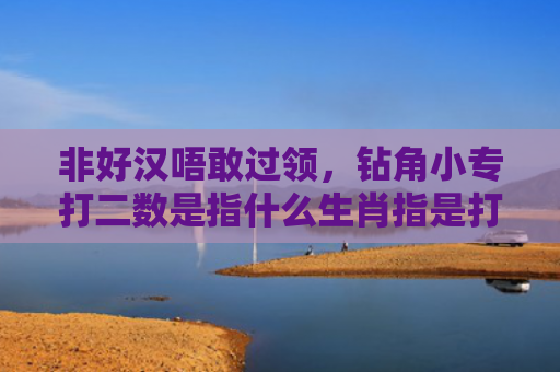 非好汉唔敢过领，钻角小专打二数是指什么生肖指是打一什么生肖，重点解答星座释义