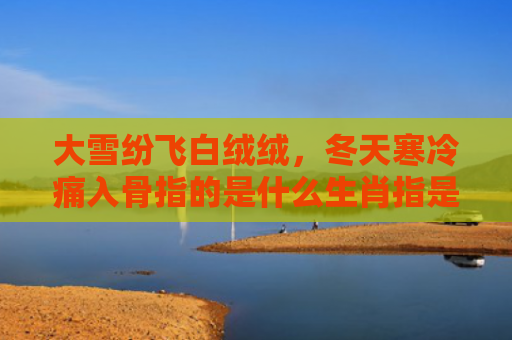 大雪纷飞白绒绒，冬天寒冷痛入骨指的是什么生肖指是打一什么生肖，重点解答星座释义
