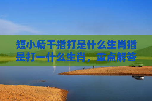 短小精干指打是什么生肖指是打一什么生肖，重点解答星座释义