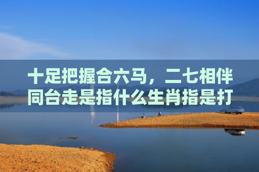 十足把握合六马，二七相伴同台走是指什么生肖指是打一什么生肖，解读星座知识