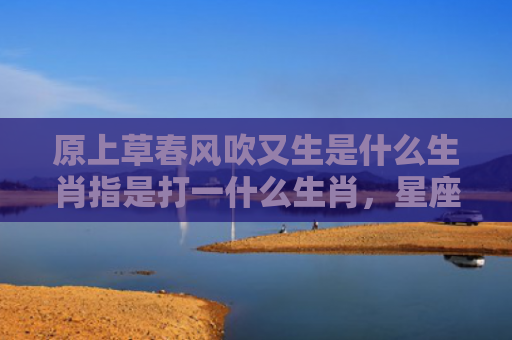原上草春风吹又生是什么生肖指是打一什么生肖，星座解读落实