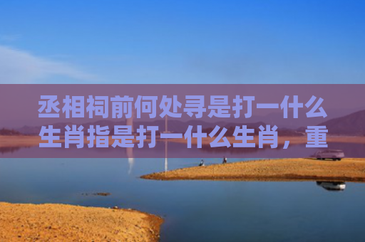 丞相祠前何处寻是打一什么生肖指是打一什么生肖，重点解答星座释义
