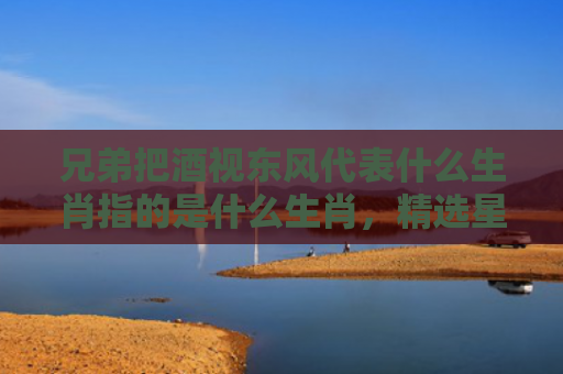 兄弟把酒视东风代表什么生肖指的是什么生肖，精选星座解释