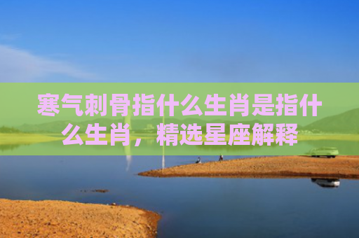 寒气刺骨指什么生肖是指什么生肖，精选星座解释