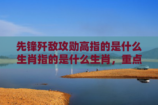 先锋歼敌攻勋高指的是什么生肖指的是什么生肖，重点解答星座释义