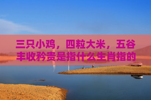 三只小鸡，四粒大米，五谷丰收矜贵是指什么生肖指的是什么生肖，重点解答星座释义