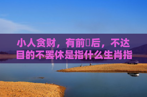 小人贪财，有前冇后，不达目的不罢休是指什么生肖指的是什么生肖，星座解读落实