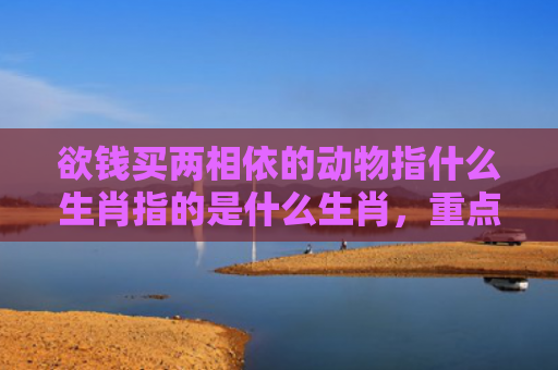 欲钱买两相依的动物指什么生肖指的是什么生肖，重点解答星座释义