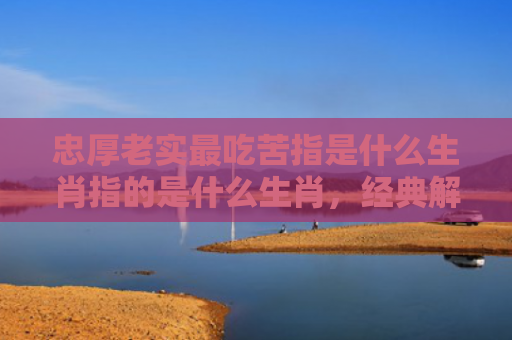 忠厚老实最吃苦指是什么生肖指的是什么生肖，经典解答星座知识