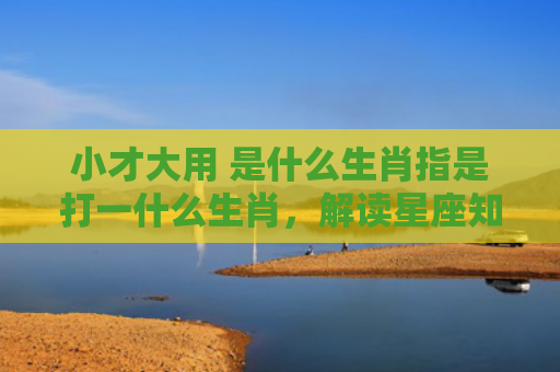 小才大用 是什么生肖指是打一什么生肖，解读星座知识