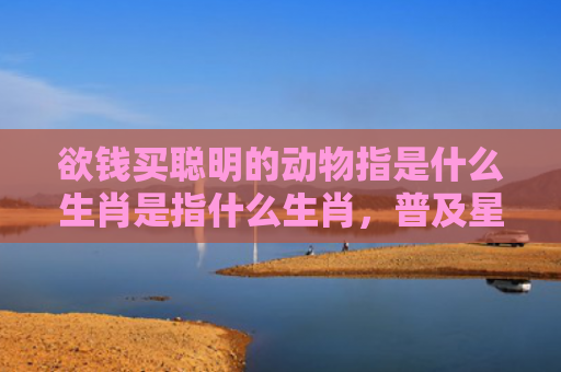 欲钱买聪明的动物指是什么生肖是指什么生肖，普及星座常识