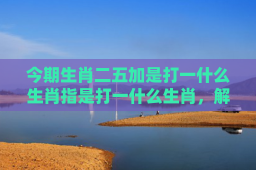 今期生肖二五加是打一什么生肖指是打一什么生肖，解读星座知识