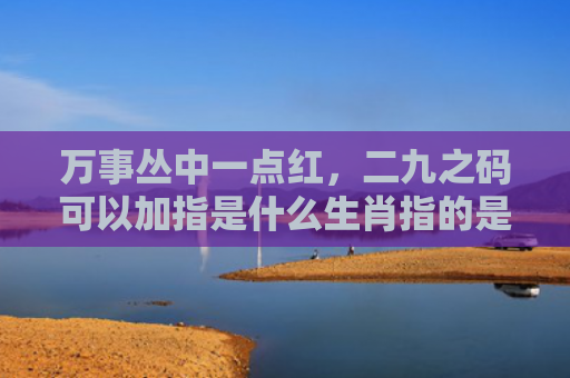 万事丛中一点红，二九之码可以加指是什么生肖指的是什么生肖，经典解答星座知识