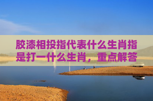 胶漆相投指代表什么生肖指是打一什么生肖，重点解答星座释义