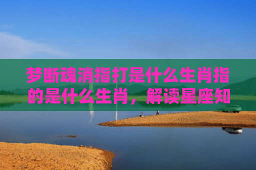 梦断魂消指打是什么生肖指的是什么生肖，解读星座知识