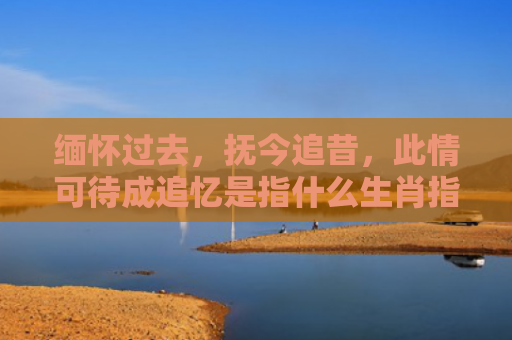 缅怀过去，抚今追昔，此情可待成追忆是指什么生肖指是打一什么生肖，精选星座解释