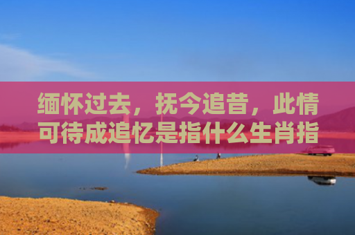 缅怀过去，抚今追昔，此情可待成追忆是指什么生肖指是打一什么生肖，经典解答星座知识
