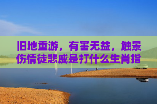 旧地重游，有害无益，触景伤情徒悲戚是打什么生肖指是打一什么生肖，经典解答星座知识