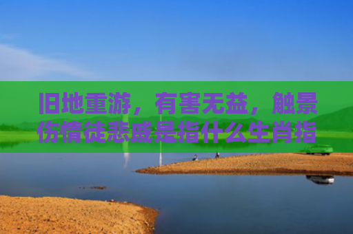 旧地重游，有害无益，触景伤情徒悲戚是指什么生肖指是打一什么生肖，重点解答星座释义
