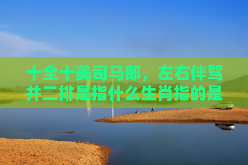 十全十美司马郎，左右伴驾并二排是指什么生肖指的是什么生肖，星座解读落实