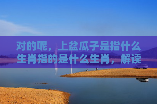 对的呢，上盆瓜子是指什么生肖指的是什么生肖，解读星座知识