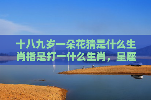 十八九岁一朵花猜是什么生肖指是打一什么生肖，星座解读落实