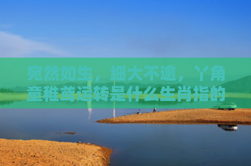 宛然如生，细大不逾，丫角童稚鸢运转是什么生肖指的是什么生肖，星座解读落实