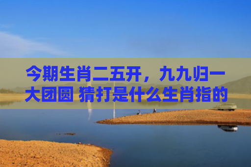 今期生肖二五开，九九归一大团圆 猜打是什么生肖指的是什么生肖，重点解答星座释义