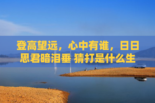 登高望远，心中有谁，日日思君暗泪垂 猜打是什么生肖是指什么生肖，经典解答星座知识