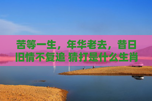 苦等一生，年华老去，昔日旧情不复追 猜打是什么生肖是指什么生肖，解读星座知识