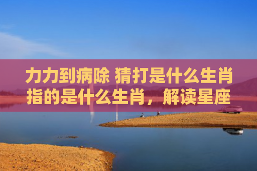 力力到病除 猜打是什么生肖指的是什么生肖，解读星座知识
